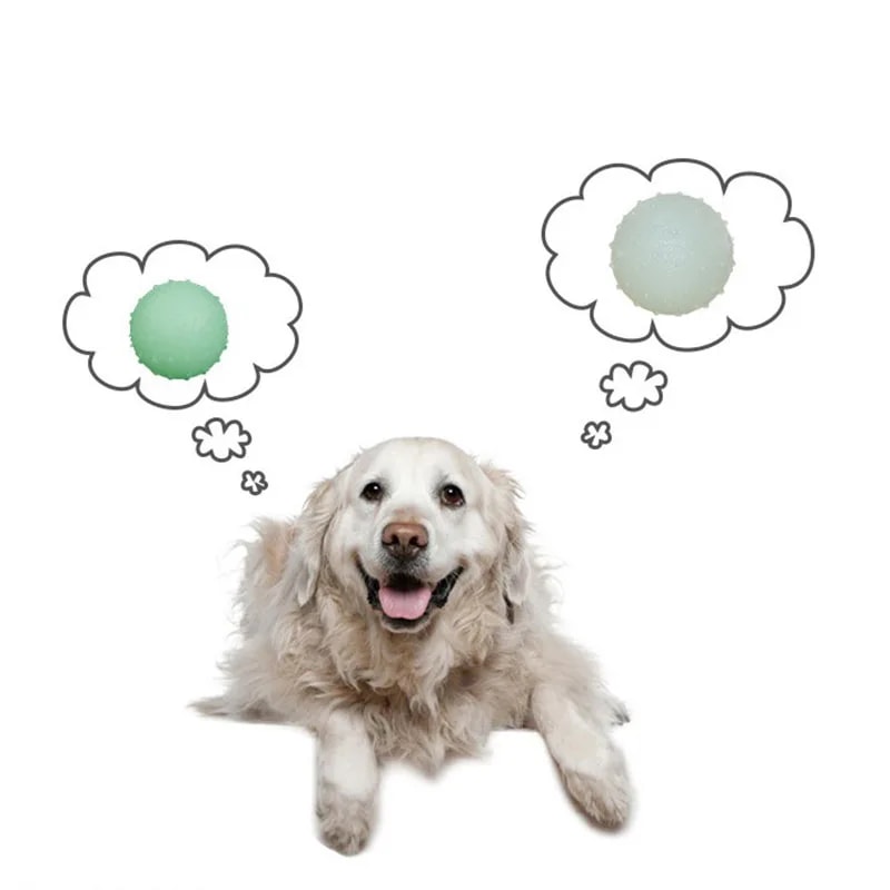 Reflective Bounce Dog Ball Toy For Fetch Training Interactive Play 5