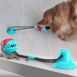 busypaw suction cup dog toy treat dispenser ball for dental chewing