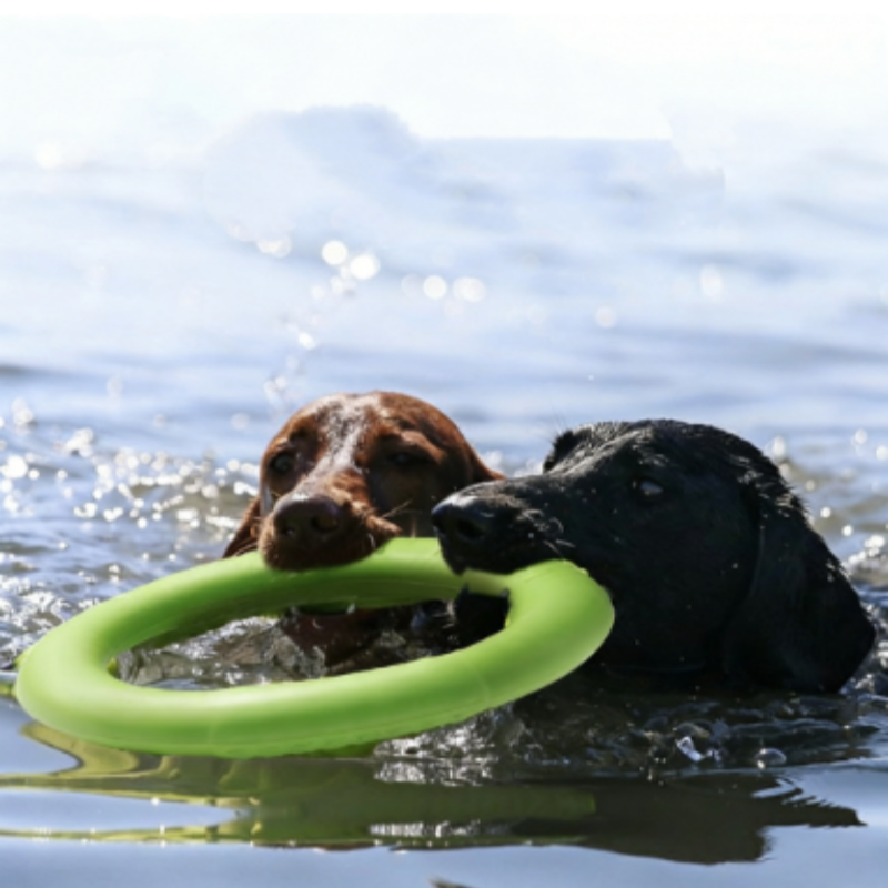 Floating Dog Ring Toy for Fetch and Tug Bite Resistant TPR Training Ring