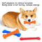 Heavy Duty Dog Tooth Brush Toy For Aggressive Chewers 1