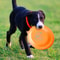 Lightweight Dog Training Disc For Obedience Interactive Play 3