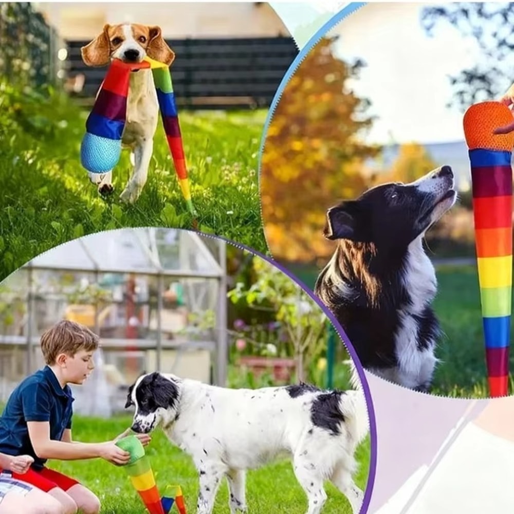 Kids Meteor Ball Throw And Catch Toy For Sensory Training Outdoor Play 4