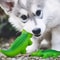 Crocodile Squeaky Dog Toy Durable Latex Chew Toy For Interactive Play 5