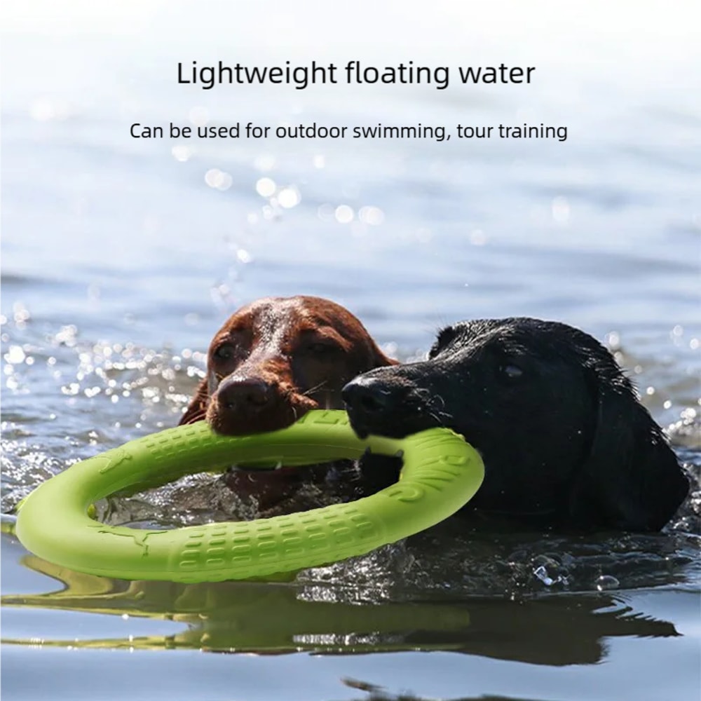 Dog Flying Disc Training Ring Interactive Fetch Toy 2