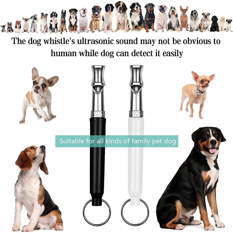 Stainless Steel Silent Dog Whistle For Training Recall And Bark Control 2