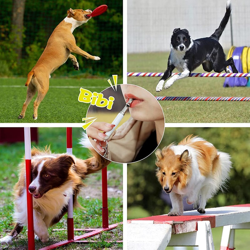 Stainless Steel Silent Dog Whistle For Training Recall And Bark Control 5