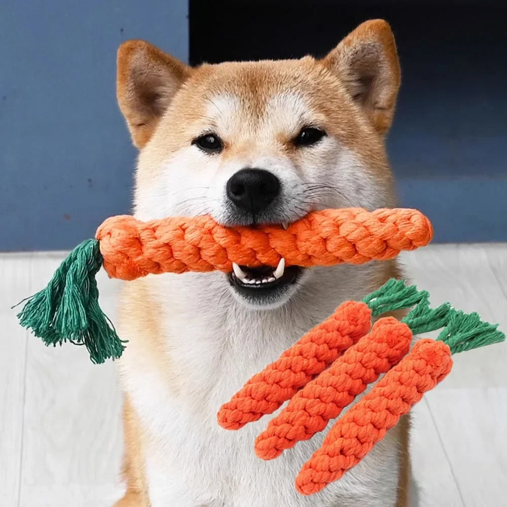 Carrot Dog Rope Toy for Puppies and Small Dogs