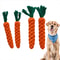 Carrot Dog Rope Toy for Puppies and Small Dogs