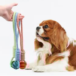 dental treat ball rope toy for dogs interactive chew and teeth cleaning
