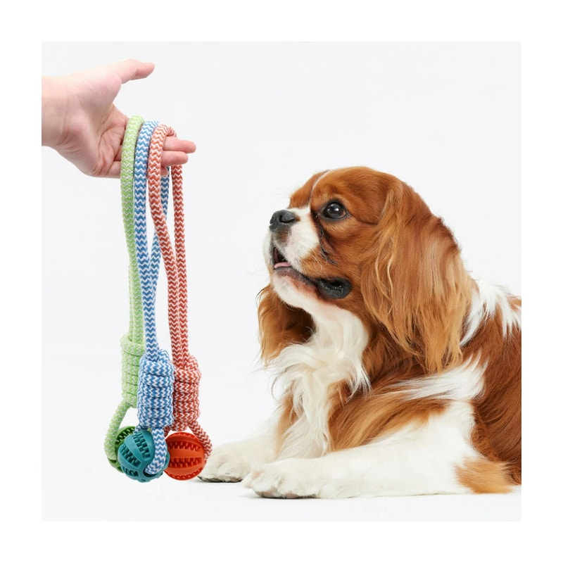 Dental Treat Ball Rope Toy For Dogs Interactive Chew And Teeth Cleaning 0