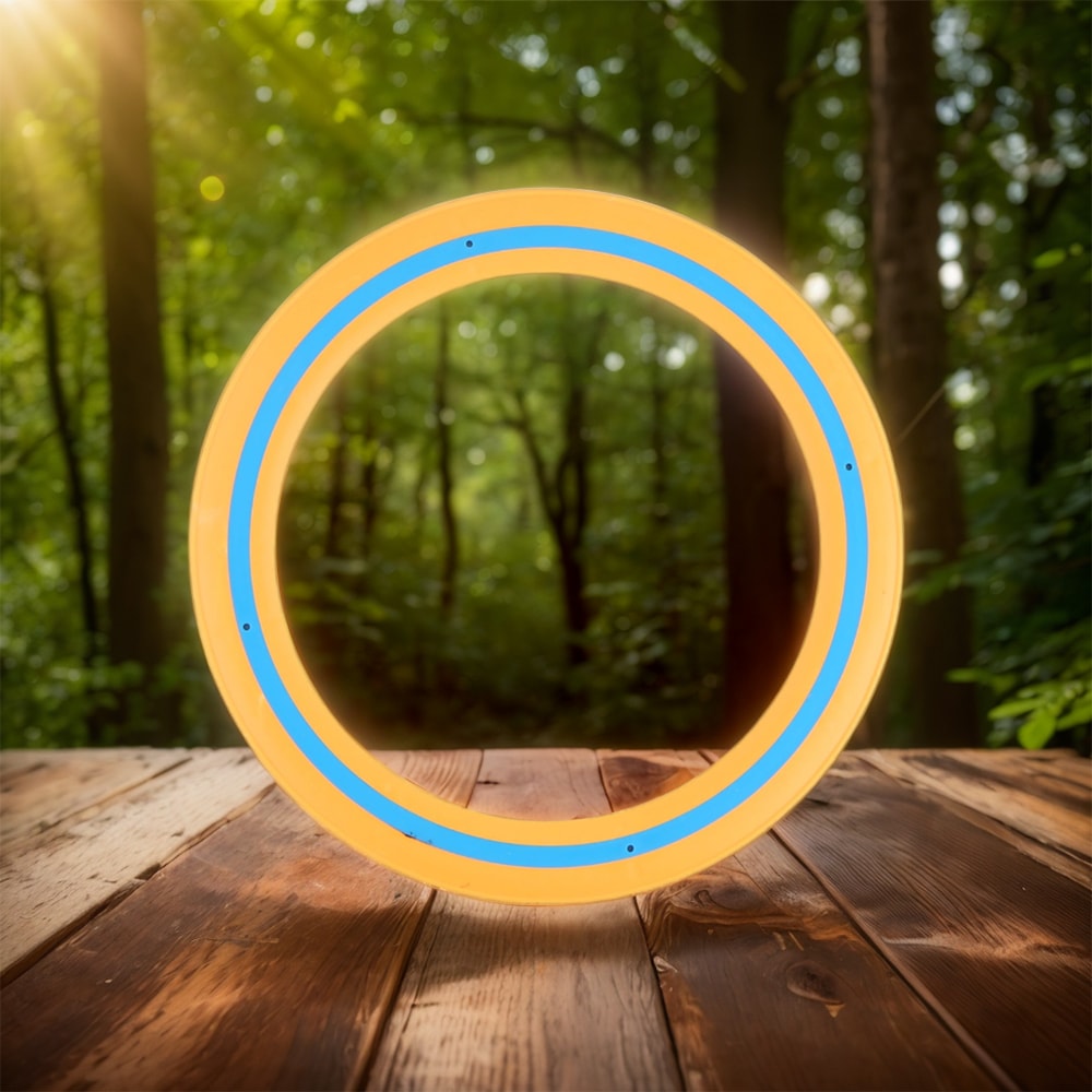 Portable Flying Ring Disc For Beach Backyard Family Catch Game 1