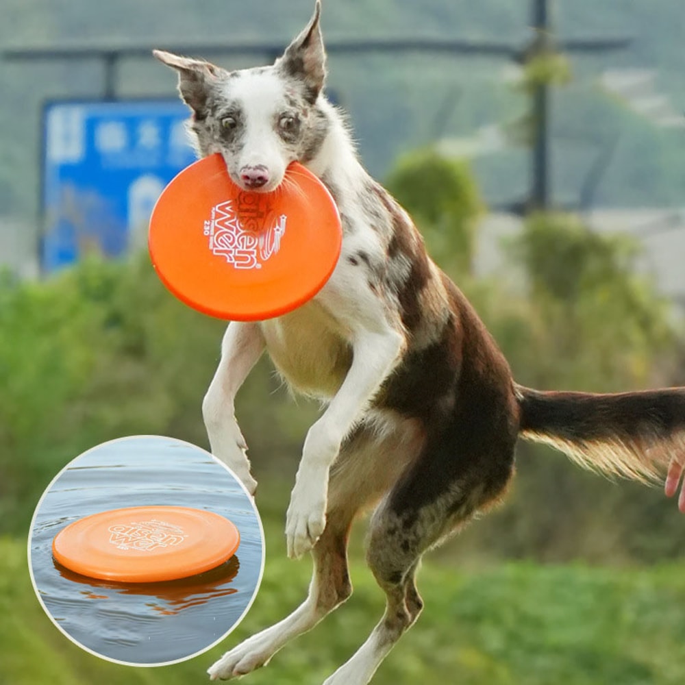 Floating Dog Flying Disc Bite Resistant Soft Frisbee Toy For Fetch And Training 1