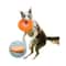 Floating Dog Flying Disc Bite Resistant Soft Frisbee Toy For Fetch And Training 3