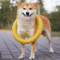 Floating Dog Ring Toy For Fetch Training And Chewing 1