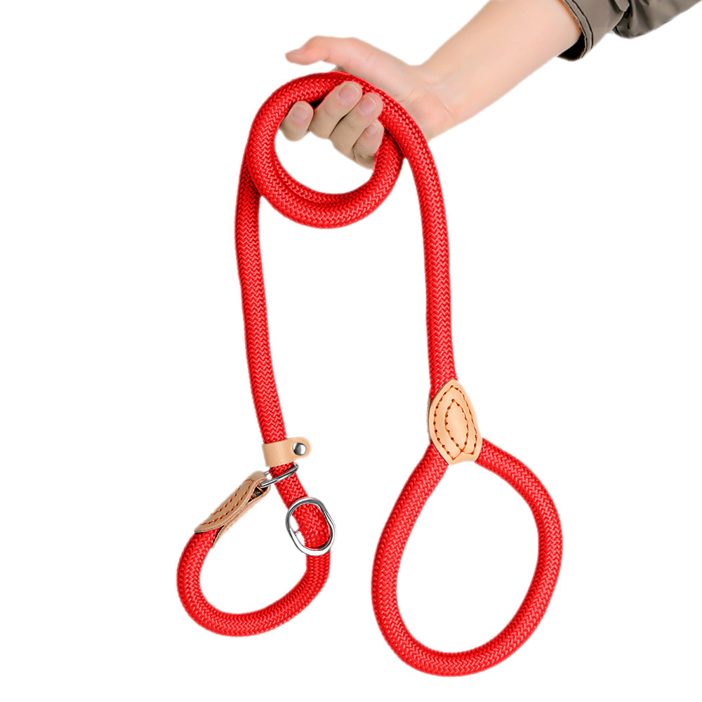 Heavy Duty Slip Lead Dog Leash For Large Dogs Nylon Rope Training Lead 5