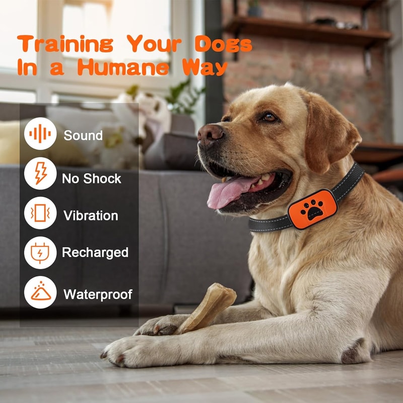 Rechargeable Anti Bark Collar For Dogs With Vibration And Automatic Bark Control 1