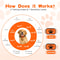 Rechargeable Anti Bark Collar For Dogs With Vibration And Automatic Bark Control 2