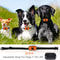 Rechargeable Anti Bark Collar For Dogs With Vibration And Automatic Bark Control 3