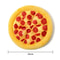 Pizza Dog Toy Plush Squeaky Chew Toy for Puppies and Small Dogs