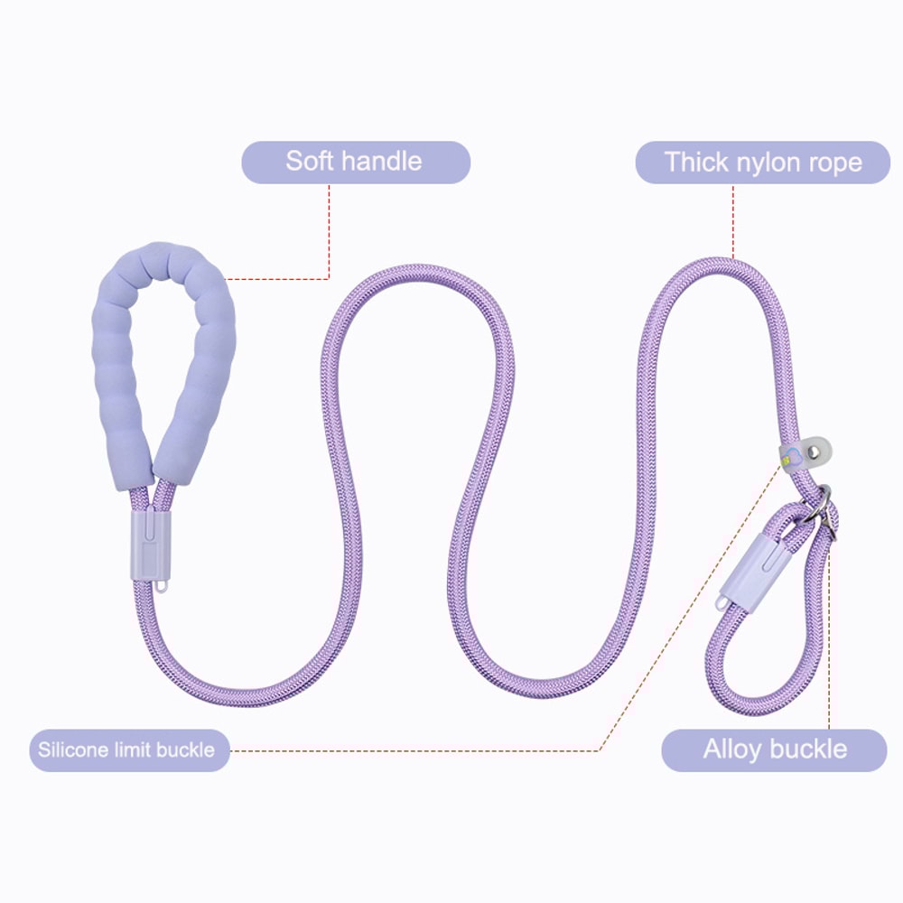 Heavy Duty Slip Lead Dog Leash With Padded Handle For Training And Daily Walks 4