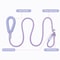 Heavy Duty Slip Lead Dog Leash With Padded Handle For Training And Daily Walks 4