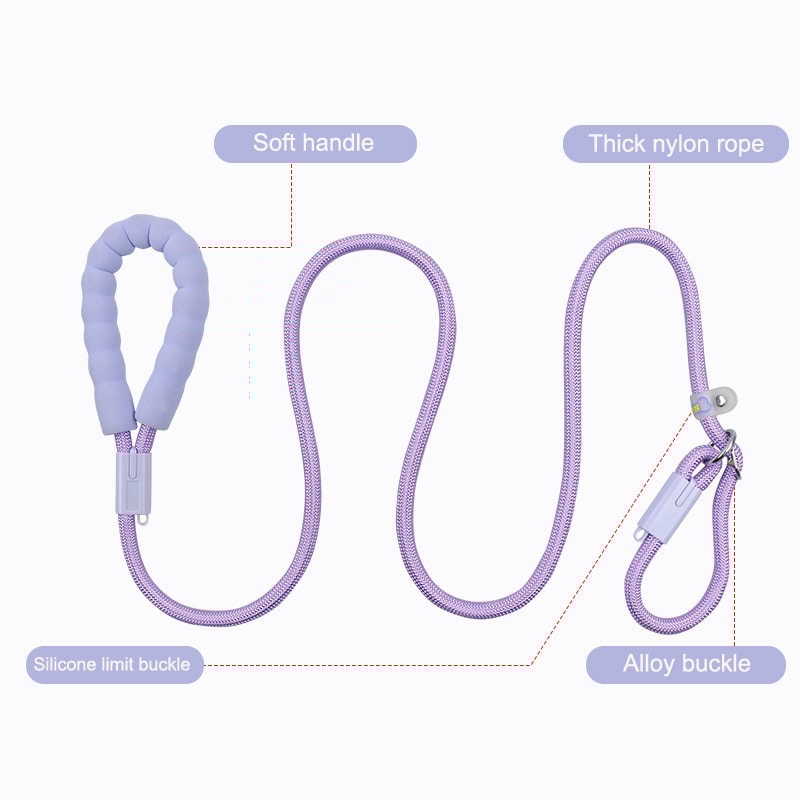 Heavy Duty Slip Lead Dog Leash With Padded Handle For Training And Daily Walks 4