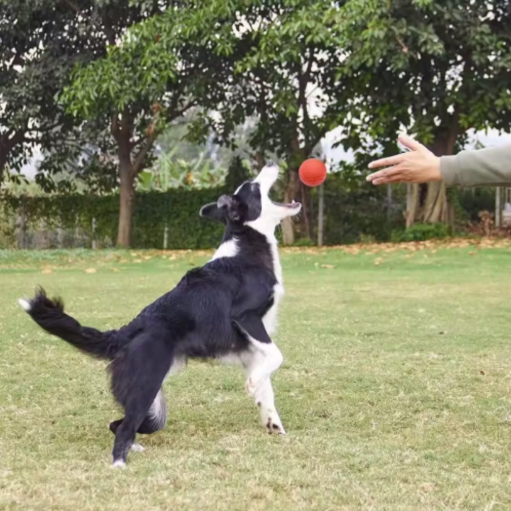 Durable Rubber Dog Ball for Aggressive Chewers Fetch Toy