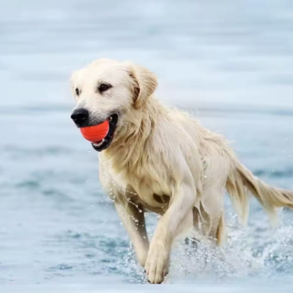 Durable Rubber Dog Ball for Aggressive Chewers Fetch Toy
