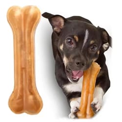 leather dog chew toy bone for teething and dental cleaning