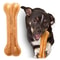 Leather Dog Chew Toy Bone for Teething and Dental Cleaning