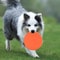 Soft Silicone Dog Flying Disc Toy For Fetch Training And Interactive Play 1