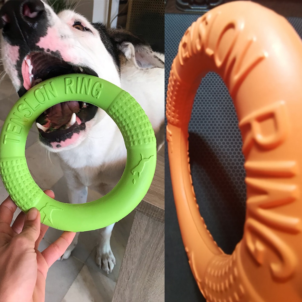 Dog Training Ring For Active Dogs And Large Breeds 4
