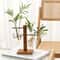 Vintage Plant Propagation Station With Wooden Stand And Hydroponic Glass Vase 0