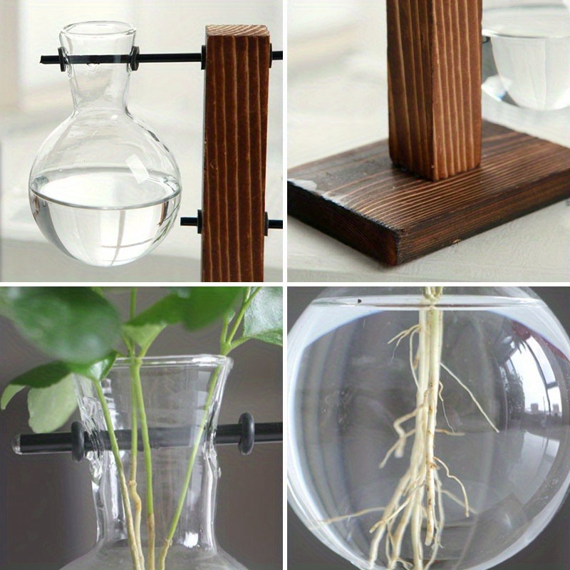 Vintage Plant Propagation Station With Wooden Stand And Hydroponic Glass Vase 4