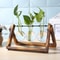 Wooden Frame Terrarium Planter With Hydroponic Glass Vases For Indoor Plant Display 1