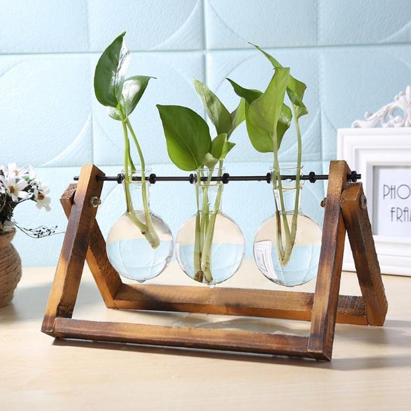 Wooden Frame Terrarium Planter With Hydroponic Glass Vases For Indoor Plant Display 1