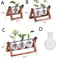 Wooden Frame Terrarium Planter With Hydroponic Glass Vases For Indoor Plant Display 3