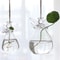Angel Glass Vase Hanging Hydroponic Vase For Flowers And Plant Cuttings 0