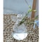 Angel Glass Vase Hanging Hydroponic Vase For Flowers And Plant Cuttings 2