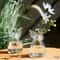 Angel Glass Vase Hanging Hydroponic Vase For Flowers And Plant Cuttings 4