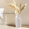 White Donut Vase for Pampas Grass Modern Minimalist Ceramic Decor
