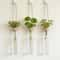 Wall Mounted Propagation Station Test Tube Vase For Hydroponic Plants 0