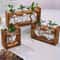Wooden Frame Hydroponic Vase For Plant Cuttings And Desktop Decor 0