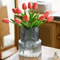 Striped Glass Vase For Flowers And Hydroponic Decor 3