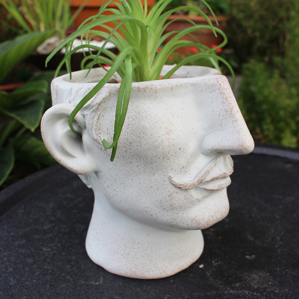 Mustache Resin Face Planter for Succulents and Small Indoor Plants