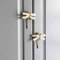 Dragonfly Drawer Knob In Brass For Cabinets Dressers And Wardrobes 1