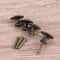 Antique Bronze Cabinet Knobs Set Vintage Drawer Pulls for Dresser Cupboard and Jewelry Box