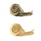 Vintage Brass Snail Cabinet Knob Gold Animal Drawer Pull
