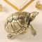Vintage Turtle Cabinet Knob Brass Gold Drawer Pull