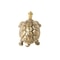 Vintage Turtle Cabinet Knob Brass Gold Drawer Pull